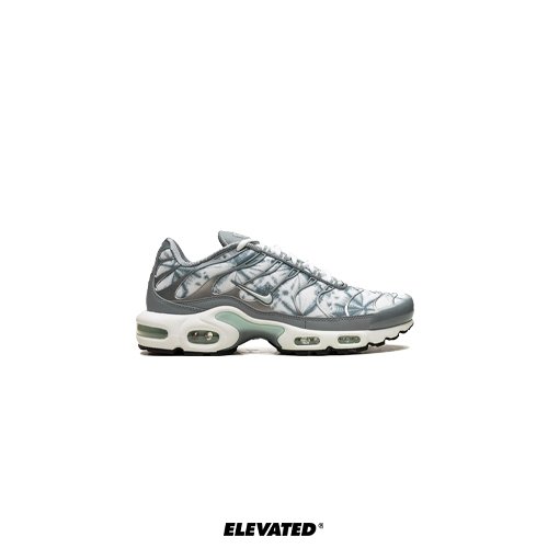 Nike Air Max TN Blue